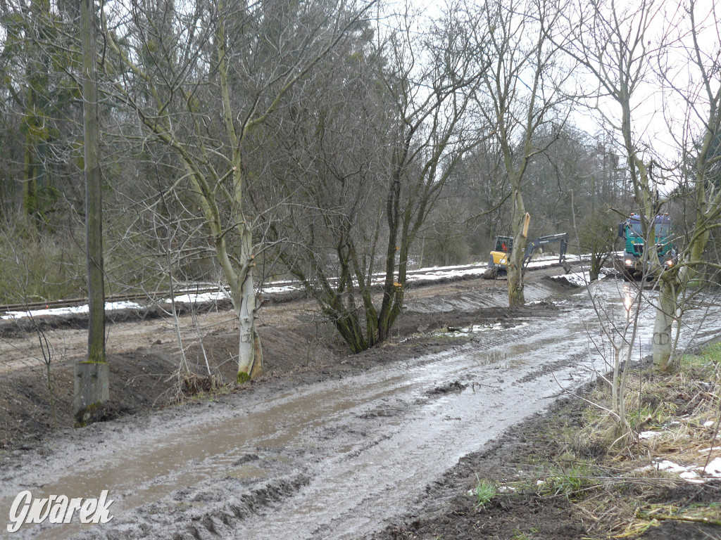 Tarnowskie Góry. Droga rowerowa przy torach