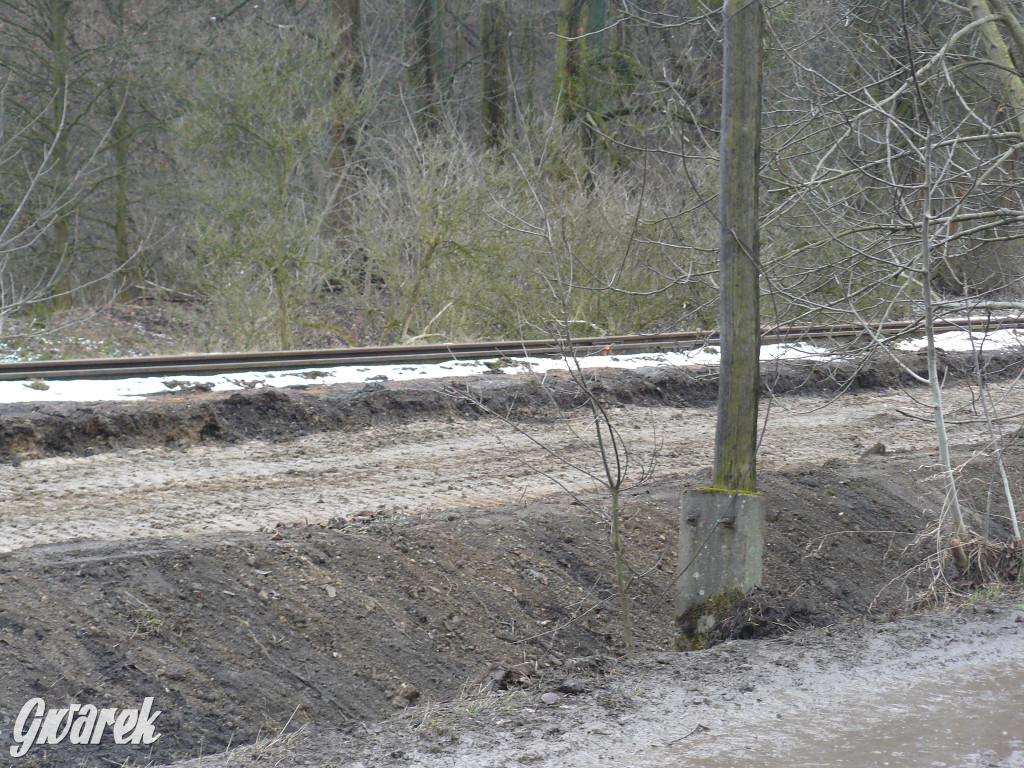 Tarnowskie Góry. Droga rowerowa przy torach