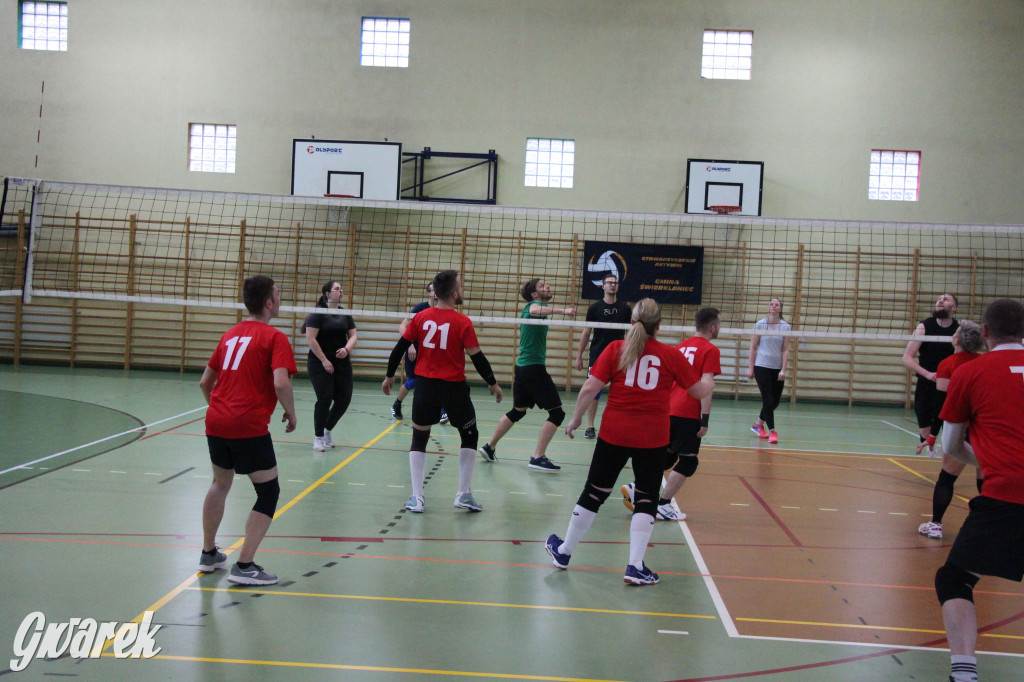 Walentynkowy turniej siatkówki w Nakle Śląskim