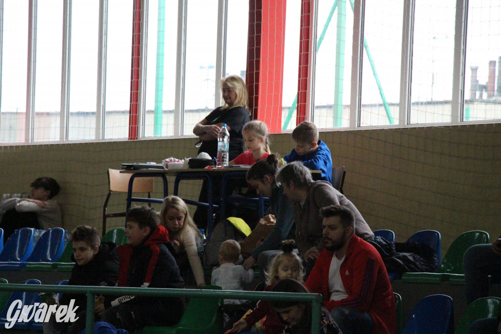 Walentynkowy turniej siatkówki w Nakle Śląskim