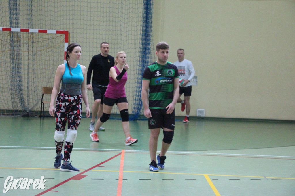 Walentynkowy turniej siatkówki w Nakle Śląskim