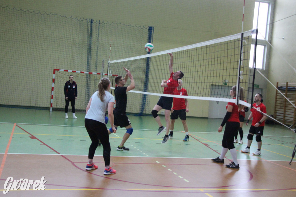 Walentynkowy turniej siatkówki w Nakle Śląskim