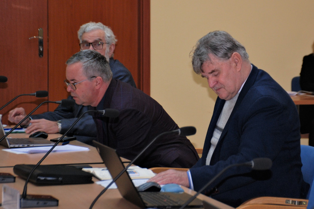 Aktywność radnych powiatowych - prezentacja