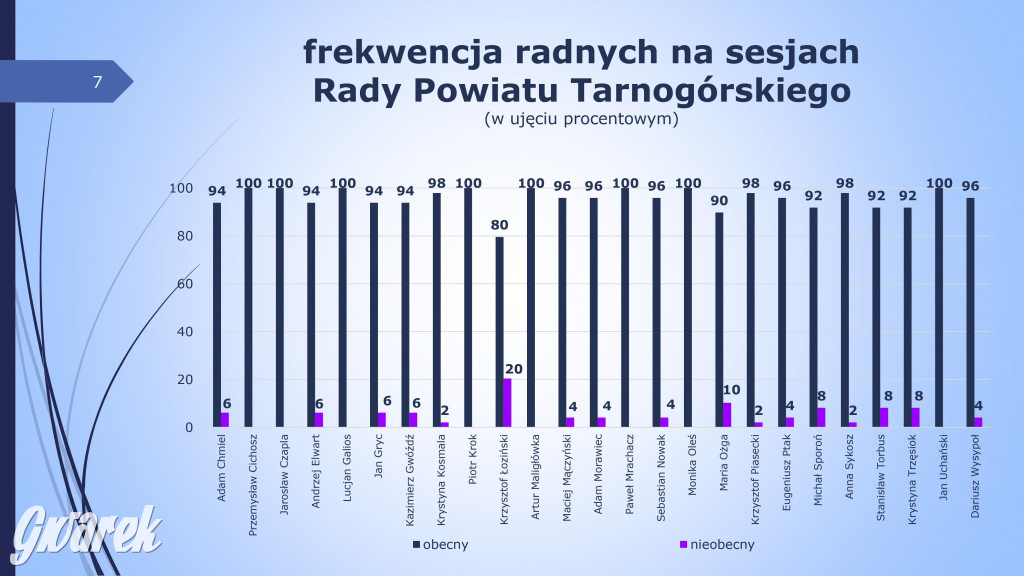 Aktywność radnych powiatowych - prezentacja