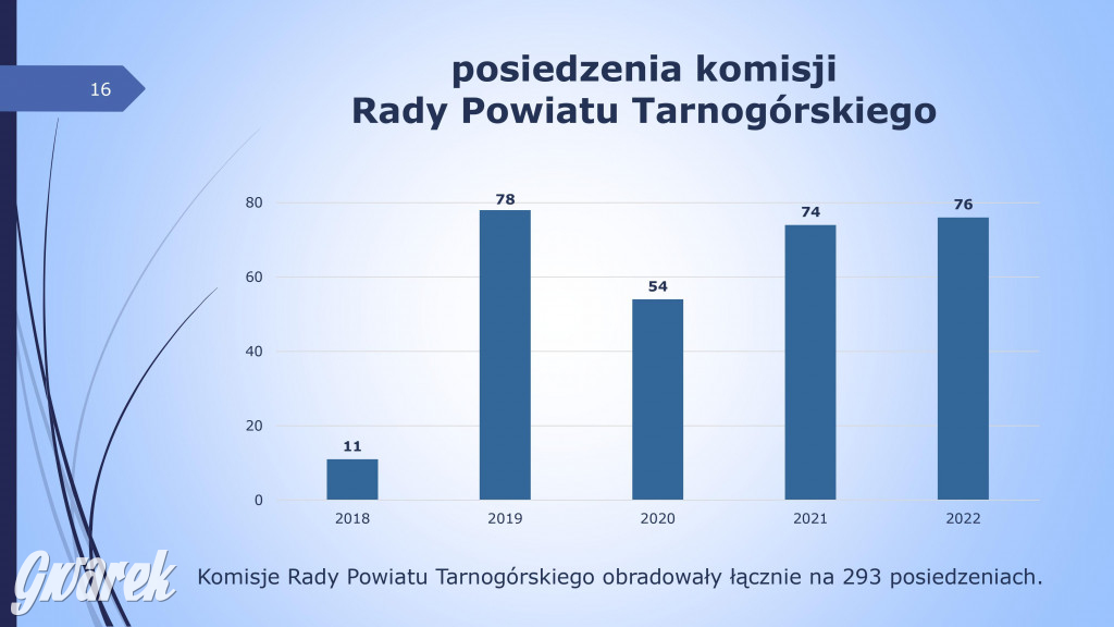 Aktywność radnych powiatowych - prezentacja