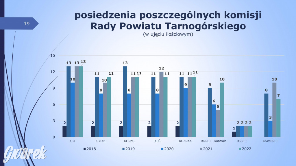 Aktywność radnych powiatowych - prezentacja