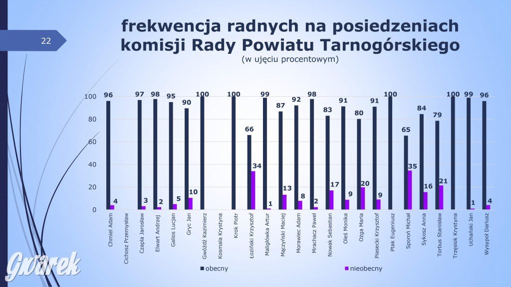 Aktywność radnych powiatowych - prezentacja