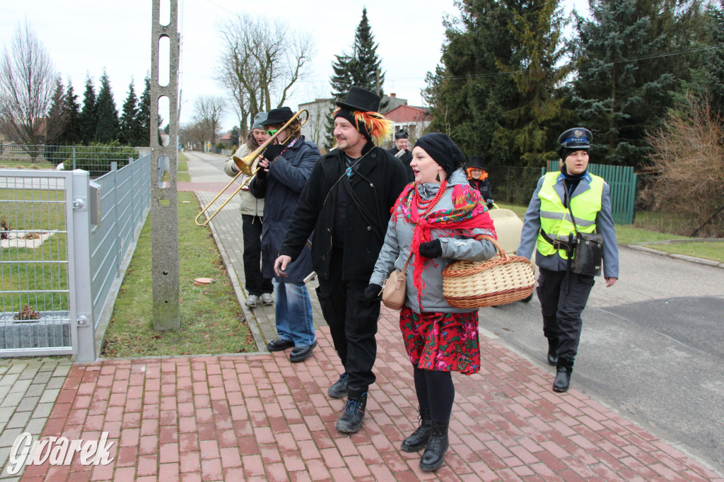 Z berem przez Miedary. Tu wodzą niedźwiedzia od 25 lat