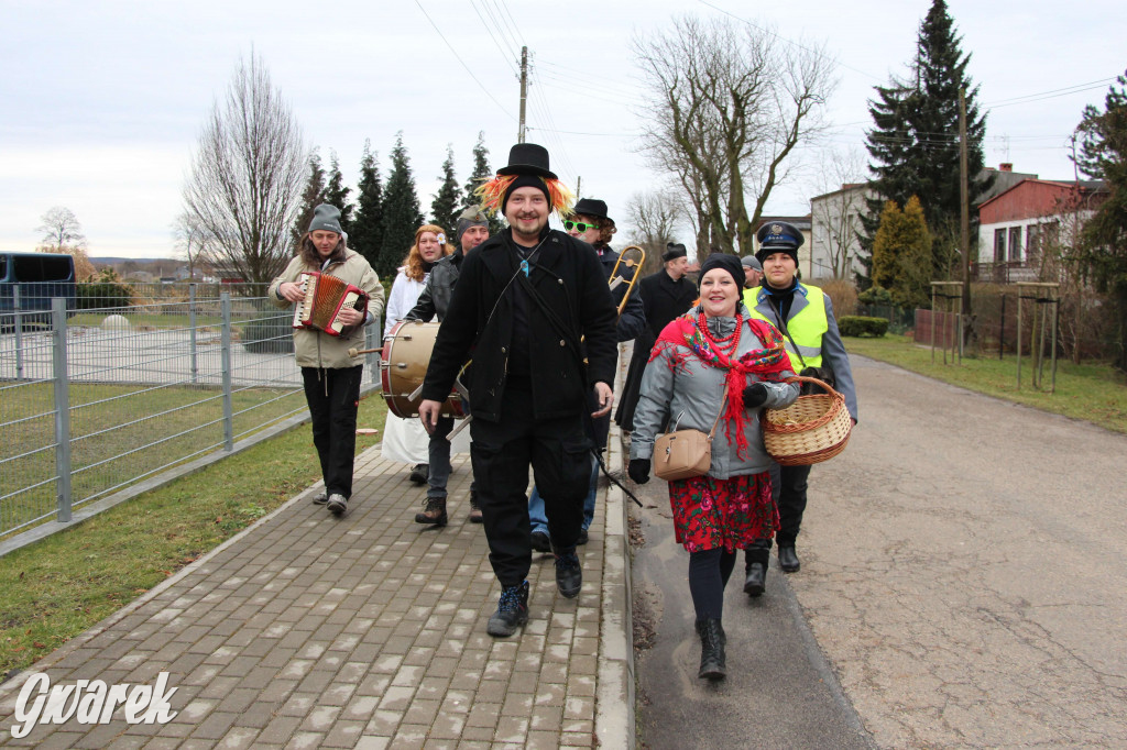 Z berem przez Miedary. Tu wodzą niedźwiedzia od 25 lat