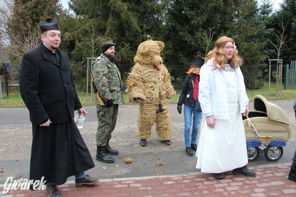 Z berem przez Miedary. Tu wodzą niedźwiedzia od 25 lat