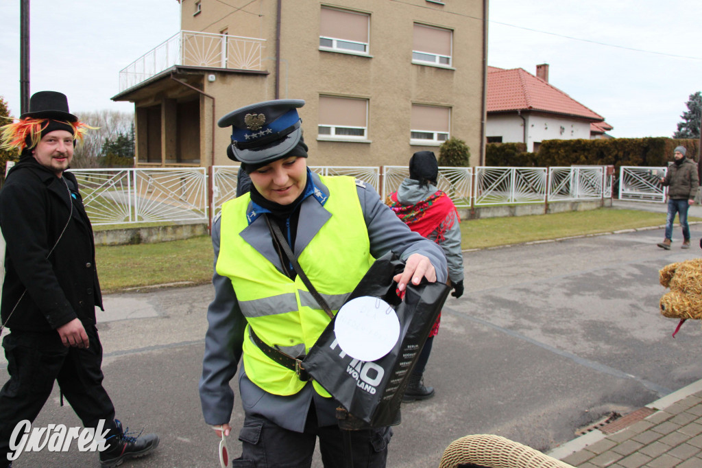 Z berem przez Miedary. Tu wodzą niedźwiedzia od 25 lat