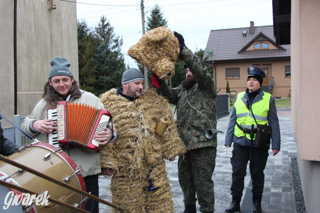 Z berem przez Miedary. Tu wodzą niedźwiedzia od 25 lat