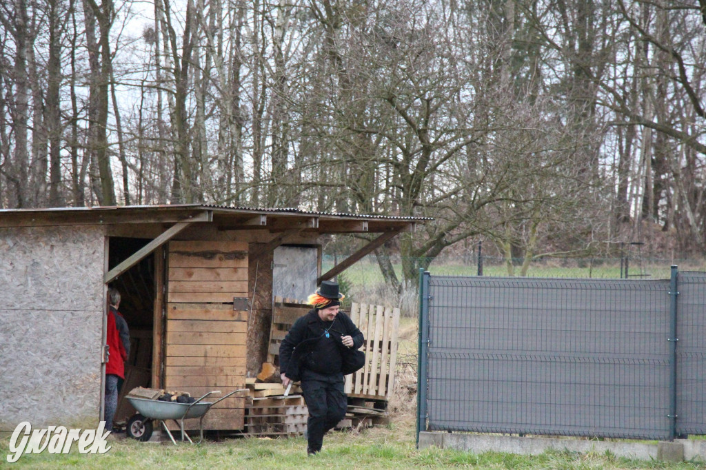 Z berem przez Miedary. Tu wodzą niedźwiedzia od 25 lat