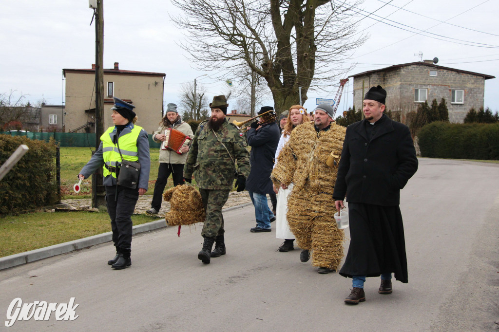 Z berem przez Miedary. Tu wodzą niedźwiedzia od 25 lat