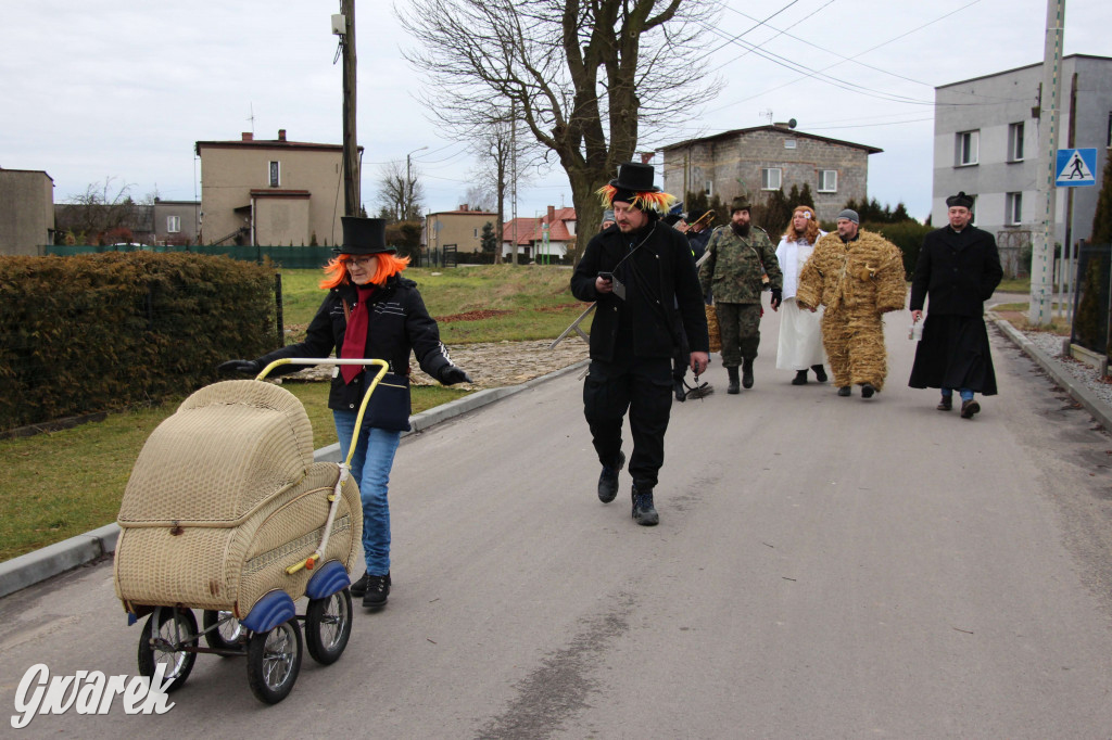 Z berem przez Miedary. Tu wodzą niedźwiedzia od 25 lat