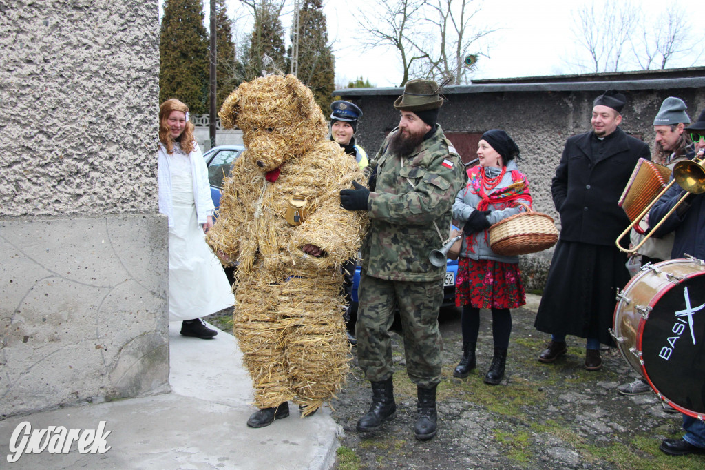 Z berem przez Miedary. Tu wodzą niedźwiedzia od 25 lat