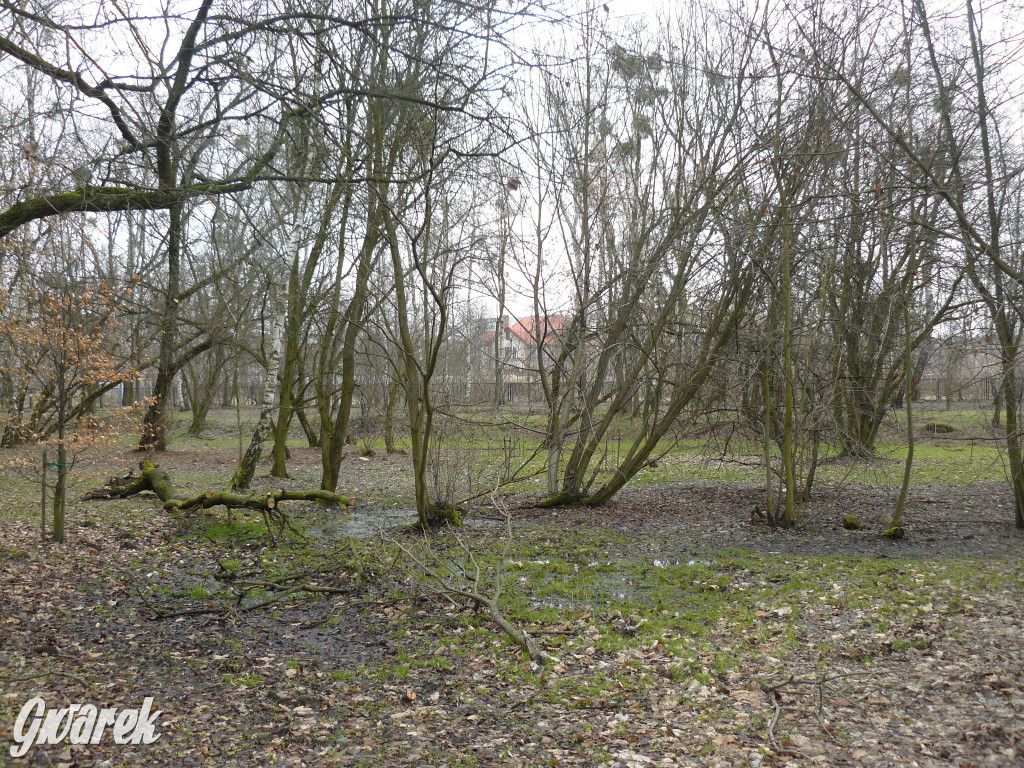 Tarnowskie Góry, Strzybnica. W parku Hutnika