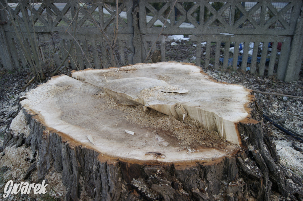 Tarnowskie Góry. Ulica Polna w remoncie