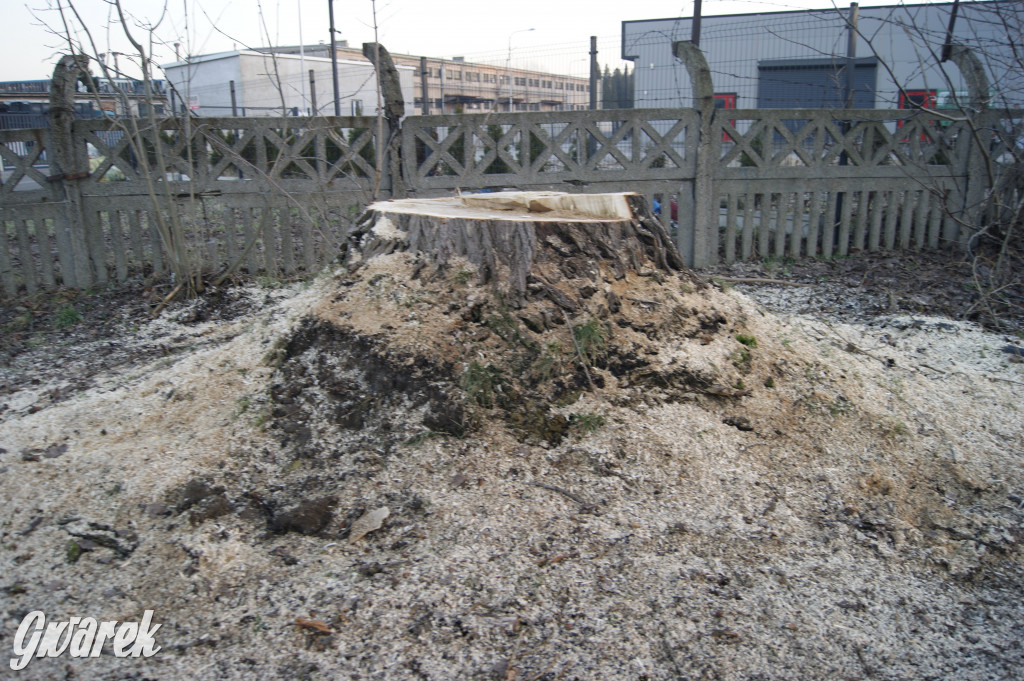 Tarnowskie Góry. Ulica Polna w remoncie