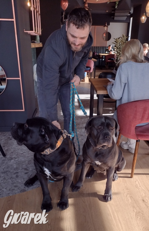 Czas na Kunszt - nowa restauracja na Rynku