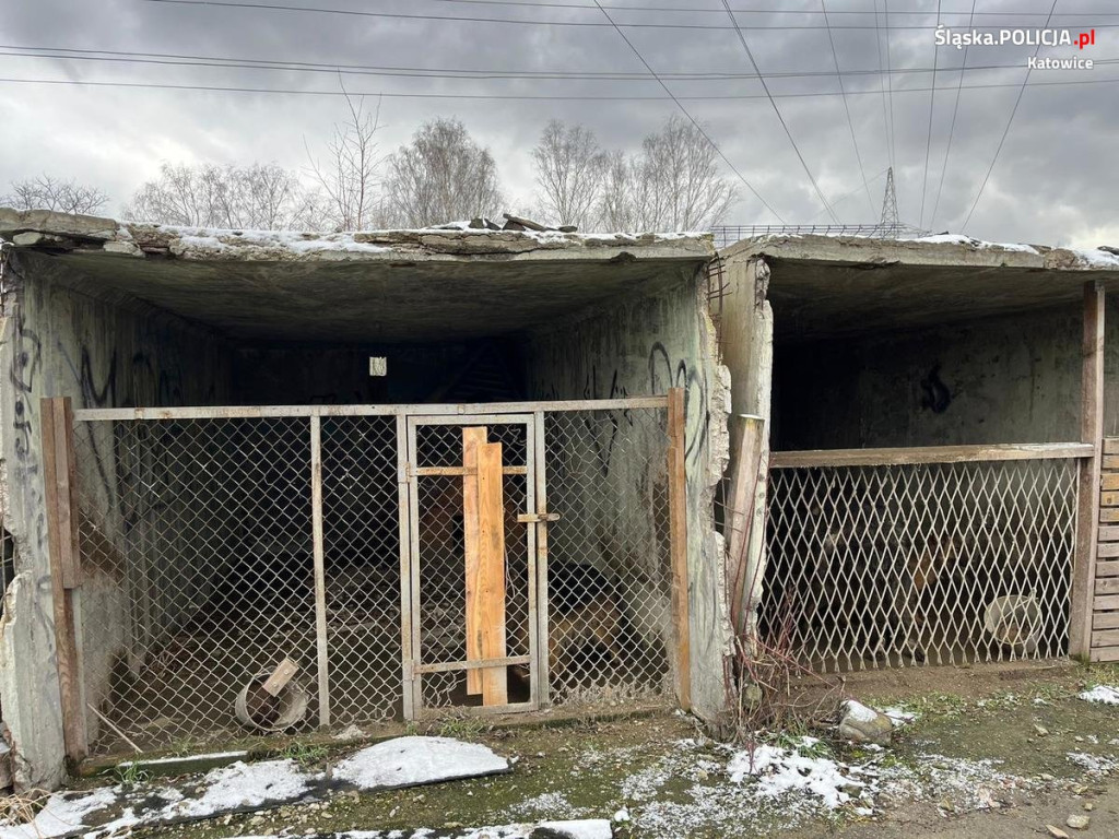 Odebrali mu trzy psy