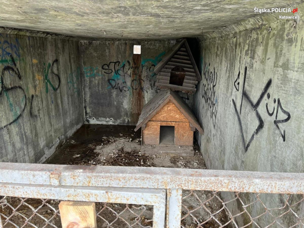 Odebrali mu trzy psy