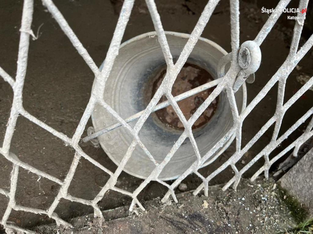 Odebrali mu trzy psy