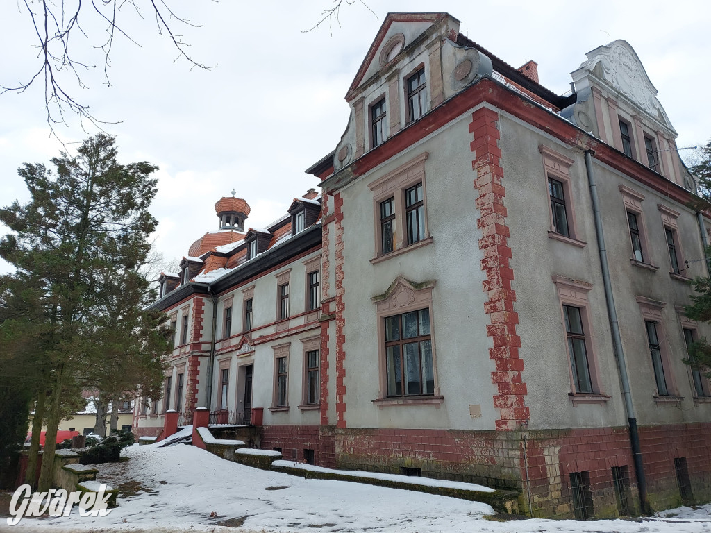 Czy pałac w Łubiu znajdzie nabywcę?