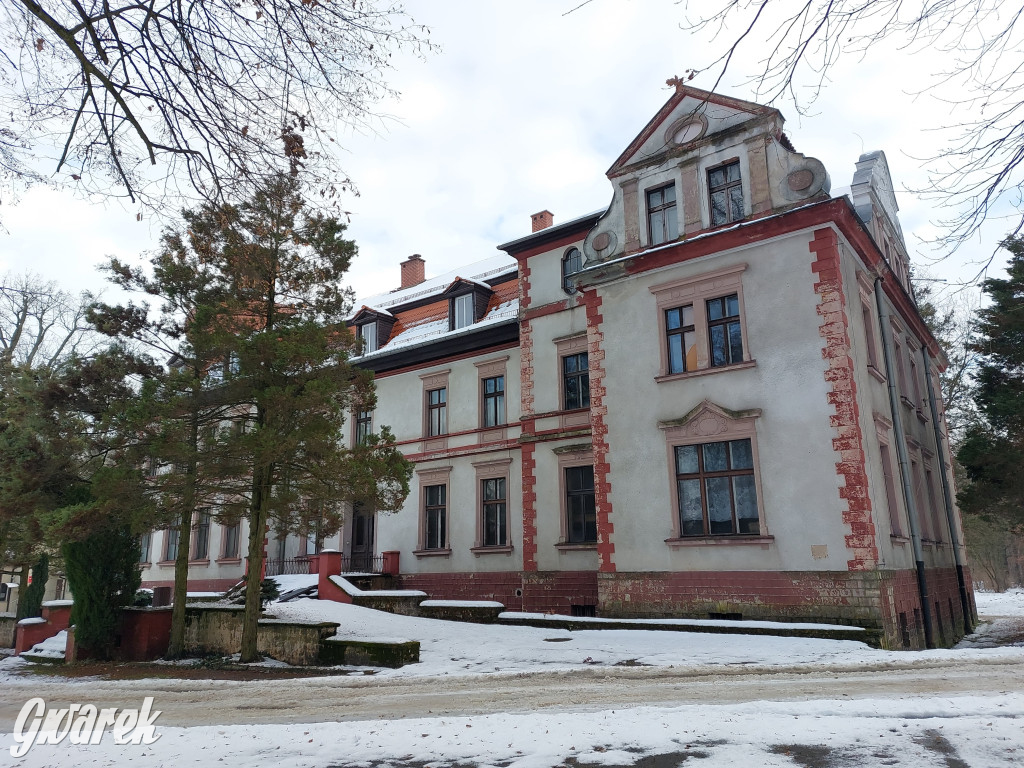 Czy pałac w Łubiu znajdzie nabywcę?