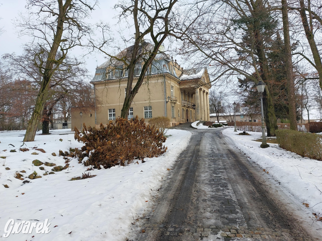 Czy pałac w Łubiu znajdzie nabywcę?