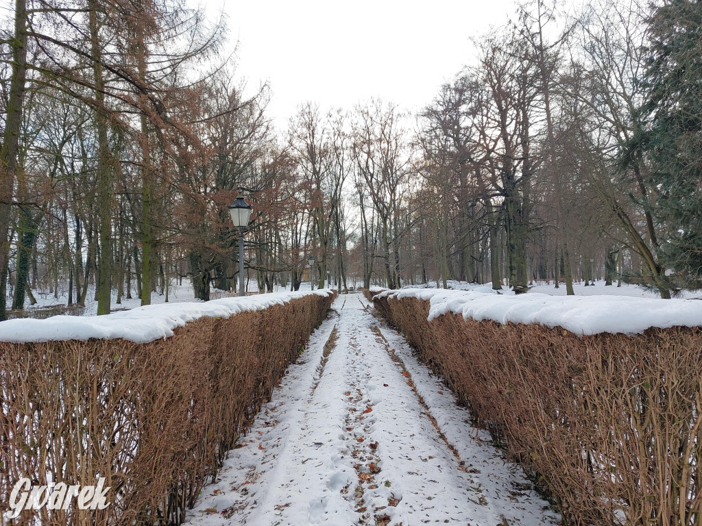 Czy pałac w Łubiu znajdzie nabywcę?