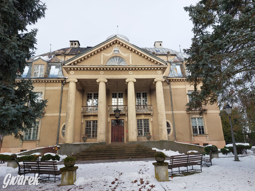 Czy pałac w Łubiu znajdzie nabywcę?