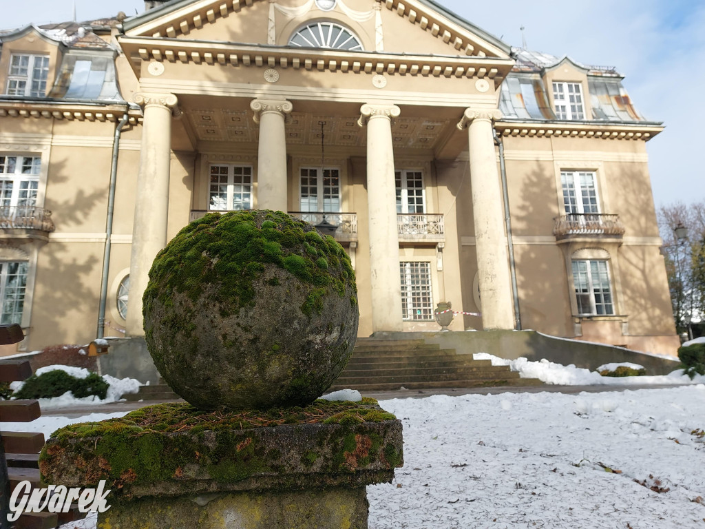 Czy pałac w Łubiu znajdzie nabywcę?