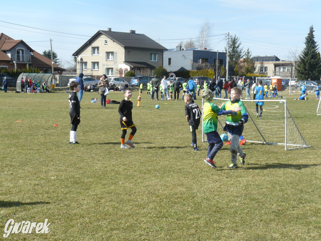 Pele Arena otwarta i poświęcona [ZDJĘCIA]