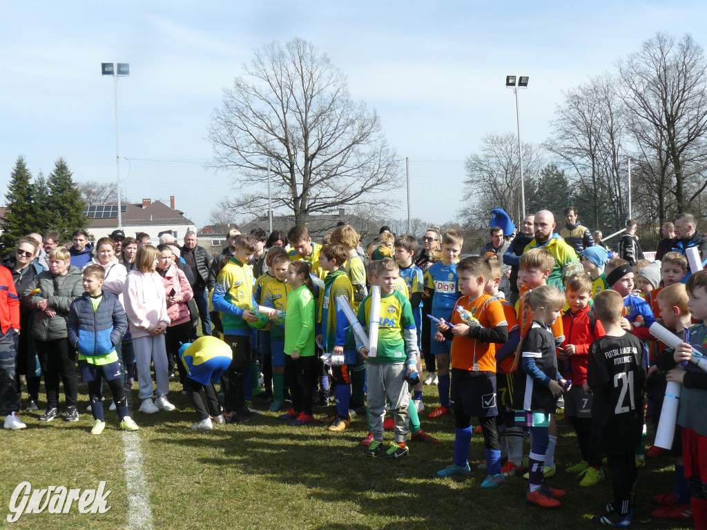 Pele Arena otwarta i poświęcona [ZDJĘCIA]