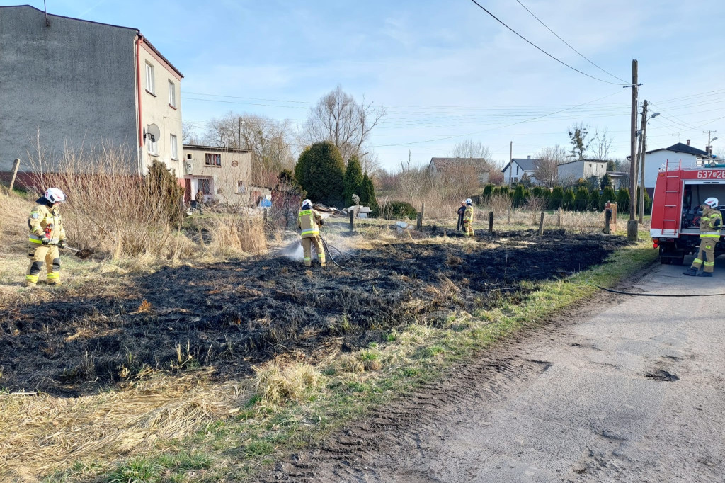 Płoną trawy i nieużytki. Ogień tuż przy domach