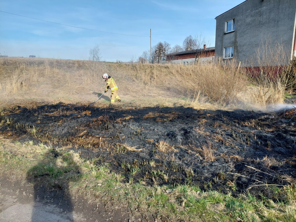 Płoną trawy i nieużytki. Ogień tuż przy domach