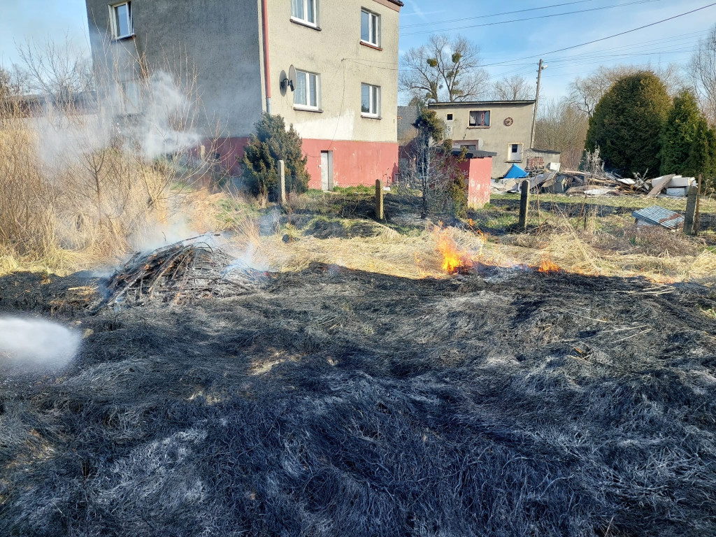 Płoną trawy i nieużytki. Ogień tuż przy domach