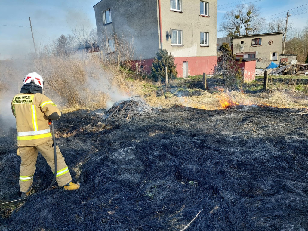 Płoną trawy i nieużytki. Ogień tuż przy domach