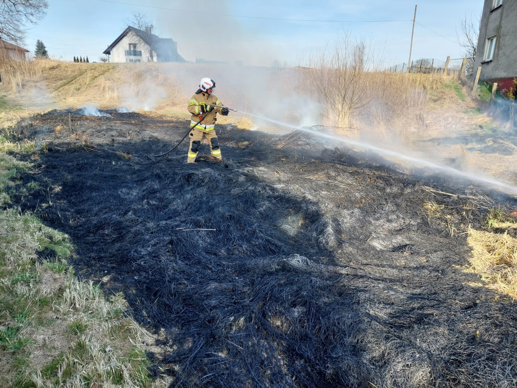 Płoną trawy i nieużytki. Ogień tuż przy domach