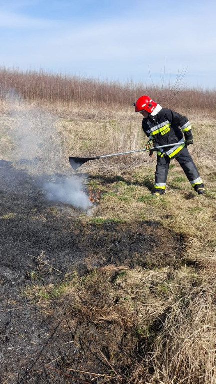 Płoną trawy i nieużytki. Ogień tuż przy domach