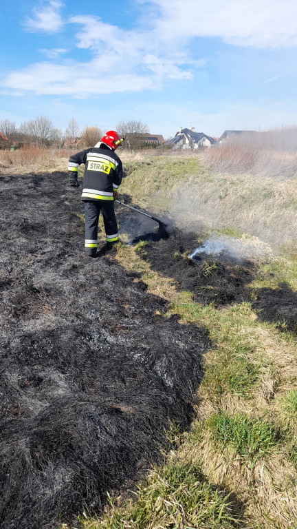 Płoną trawy i nieużytki. Ogień tuż przy domach