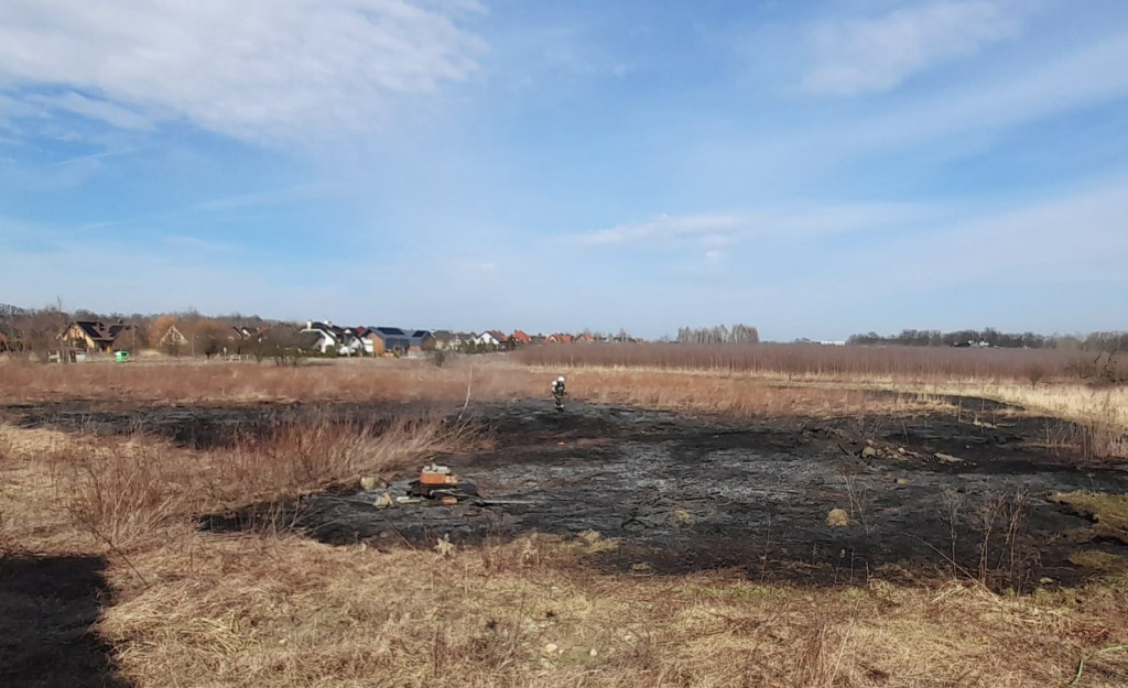 Płoną trawy i nieużytki. Ogień tuż przy domach