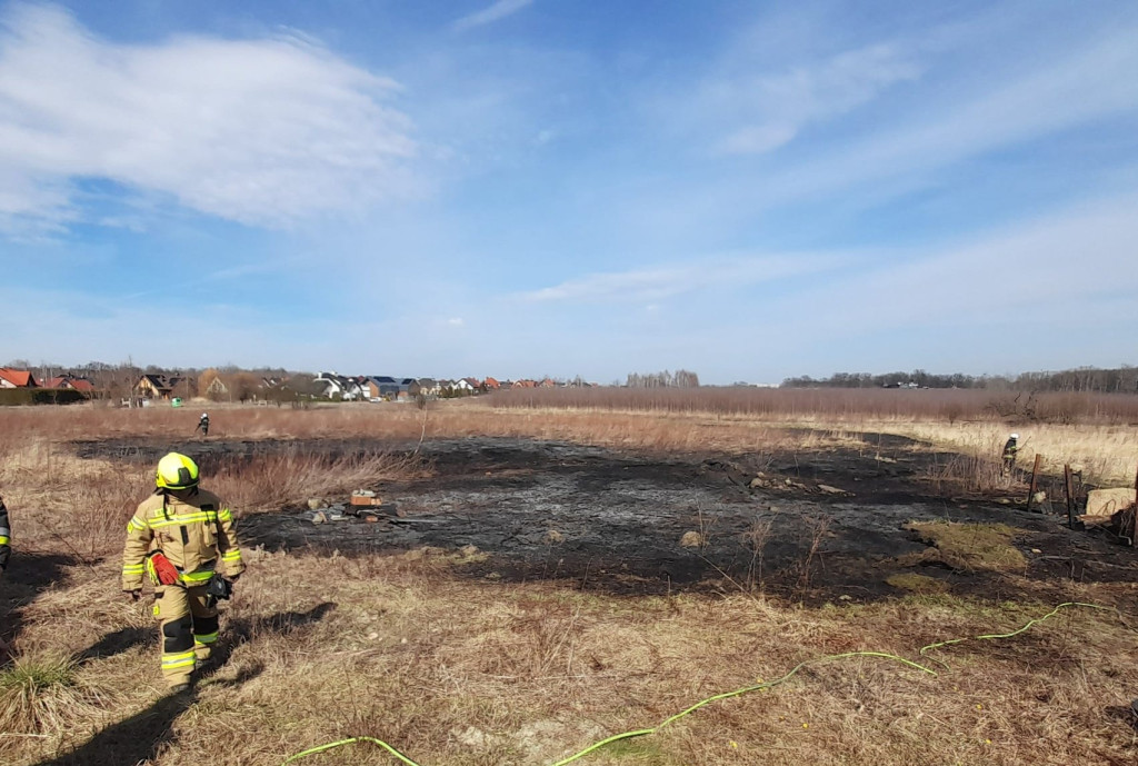 Płoną trawy i nieużytki. Ogień tuż przy domach