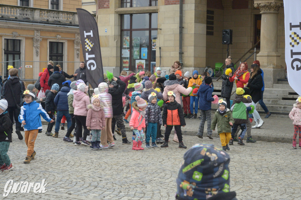 Tarnowskie Góry. Powitanie wiosny na rynku