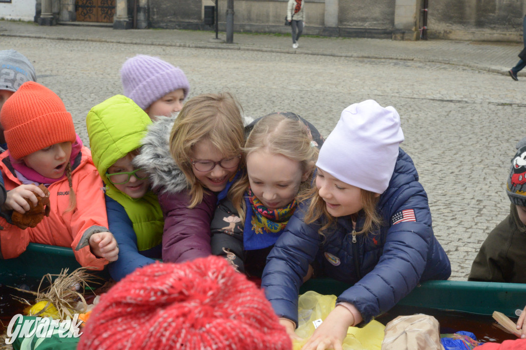 Tarnowskie Góry. Powitanie wiosny na rynku