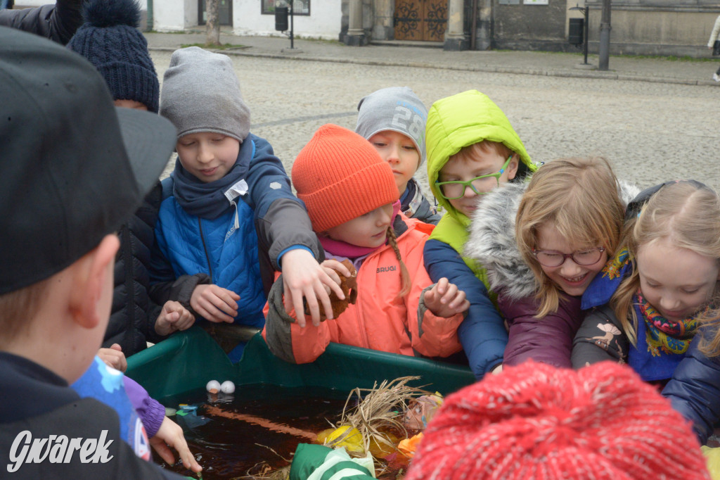 Tarnowskie Góry. Powitanie wiosny na rynku