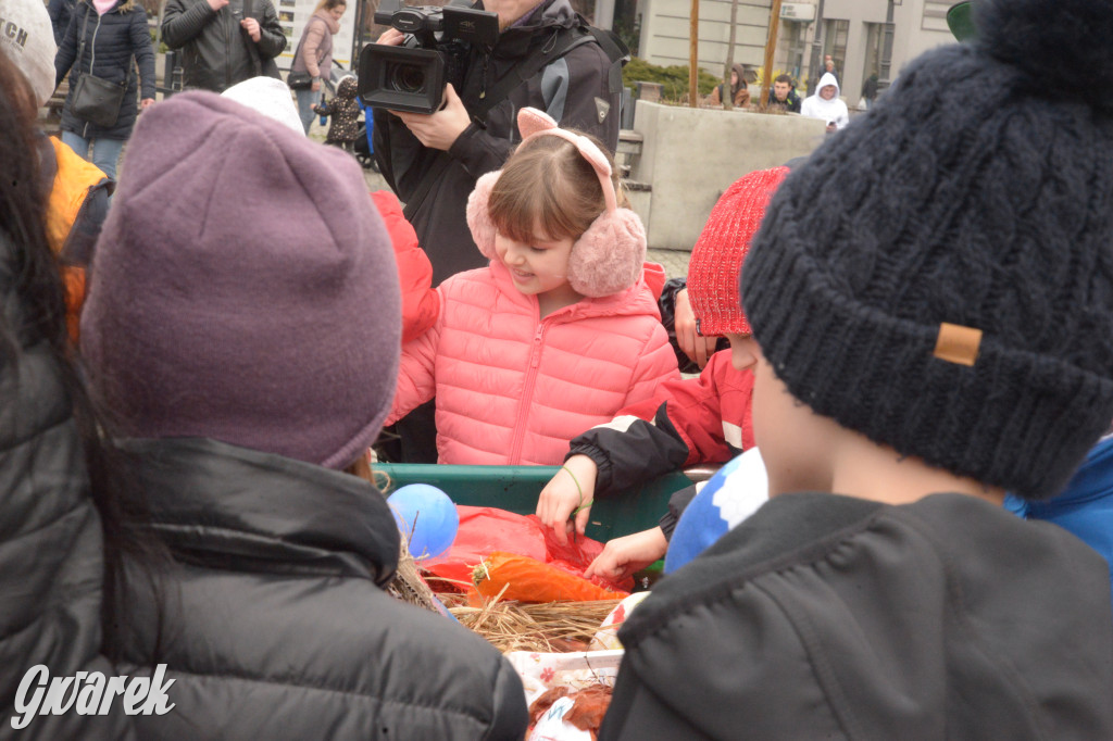 Tarnowskie Góry. Powitanie wiosny na rynku