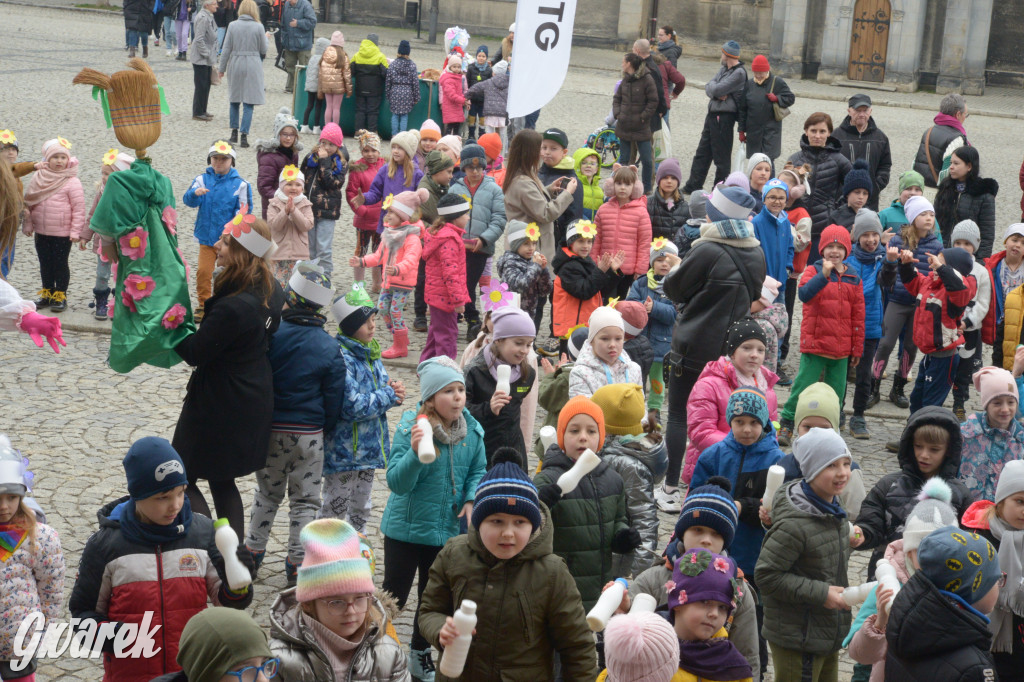 Tarnowskie Góry. Powitanie wiosny na rynku