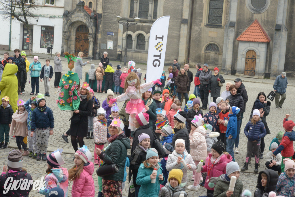Tarnowskie Góry. Powitanie wiosny na rynku